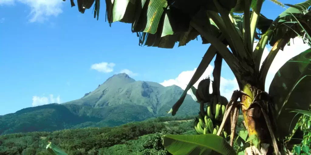 La montagne Pelée, en Martinique. (YVES TALENSAC / PHOTONONSTOP VIA AFP)